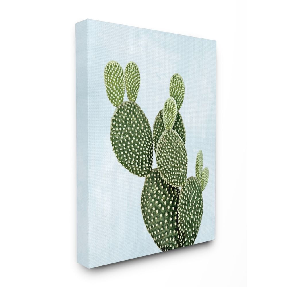 Stupell Industries Unique Desert Cactus Plant Prickly Pear Blue Green Canvas Wall Art Design by Mia Jensen, 16" x 20"
