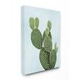 thumbnail image 1 of Stupell Industries Unique Desert Cactus Plant Prickly Pear Blue Green Canvas Wall Art Design by Mia Jensen, 24" x 30", 1 of 6