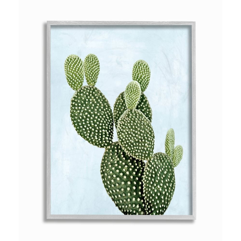 Stupell Industries Unique Desert Cactus Plant Prickly Pear Blue Green Framed Wall Art Design by Mia Jensen, 16" x 20", Gray Framed
