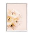 thumbnail image 1 of Stupell Industries Unique Florals Blooming Bleach Blonde Petals Abstract Photography, 16 x 20,Design by Renee W. Stramel, 1 of 5