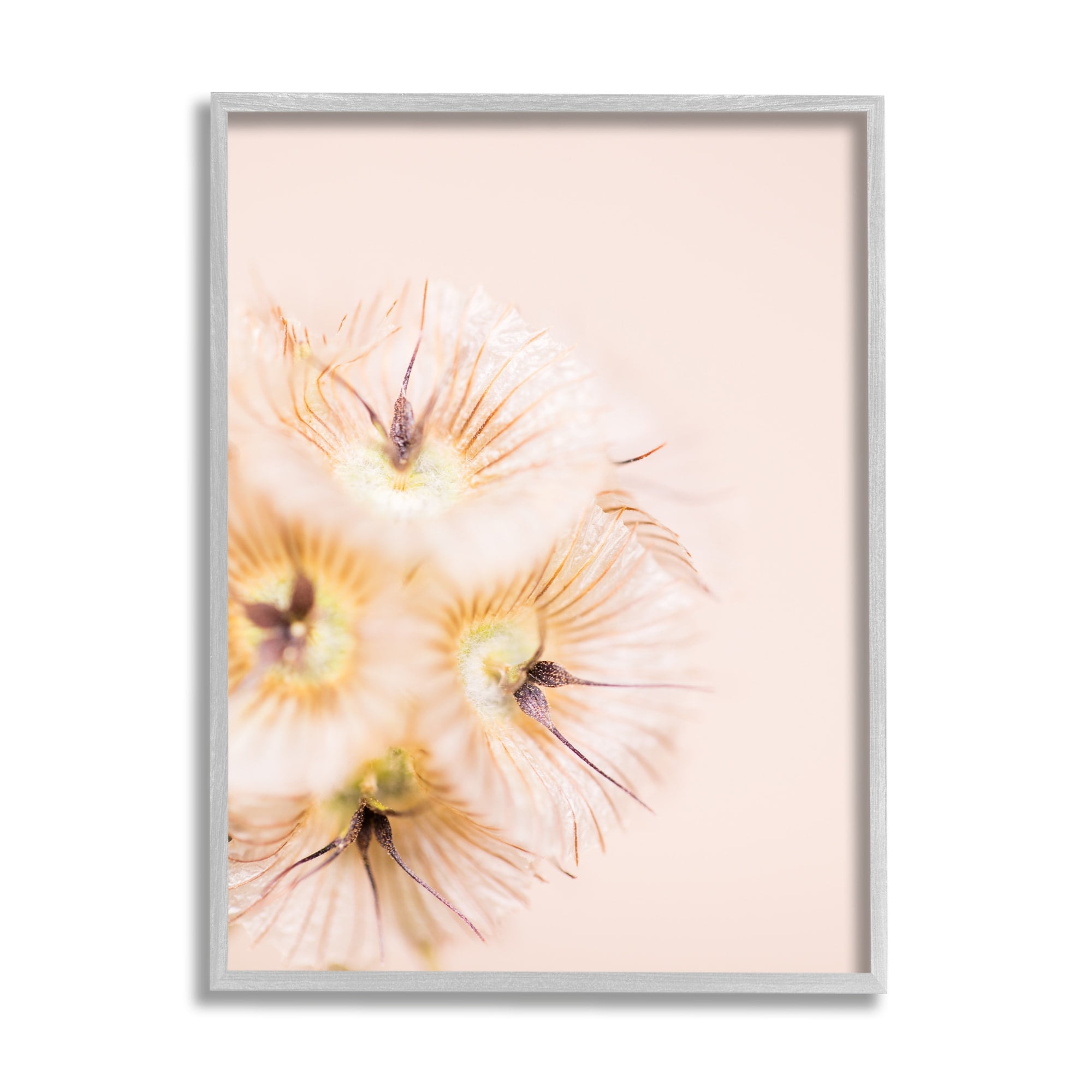 Stupell Industries Unique Florals Blooming Bleach Blonde Petals Abstract Photography, 24 x 30,Design by Renee W. Stramel