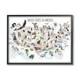 thumbnail image 1 of Stupell Industries United States of America Map of Animals Kid's Illustration Novelty Painting Black Framed Art Print Wall Art, 11 x 14, Design by Studio Q, 1 of 7