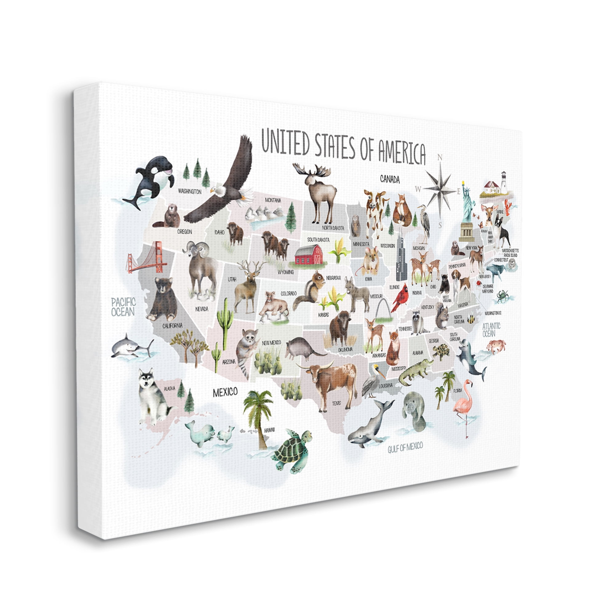 Stupell Industries United States of America Map of Animals Kid's Illustration Novelty Painting Gallery-Wrapped Canvas Print Wall Art, 16 x 20, Design by Studio Q