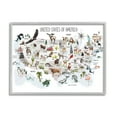 thumbnail image 1 of Stupell Industries United States of America Map of Animals Kid's Illustration, 16 x 20, Designed by Studio Q, 1 of 7