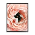 thumbnail image 1 of Stupell Industries Up Close Pink Peony Intricate Sunlit Petals Painting Black Framed Art Print Wall Art, Design by Ziwei Li, 1 of 5