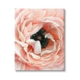 thumbnail image 1 of Stupell Industries Up Close Pink Peony Intricate Sunlit Petals Painting Gallery Wrapped Canvas Print Wall Art, Design by Ziwei Li, 1 of 5