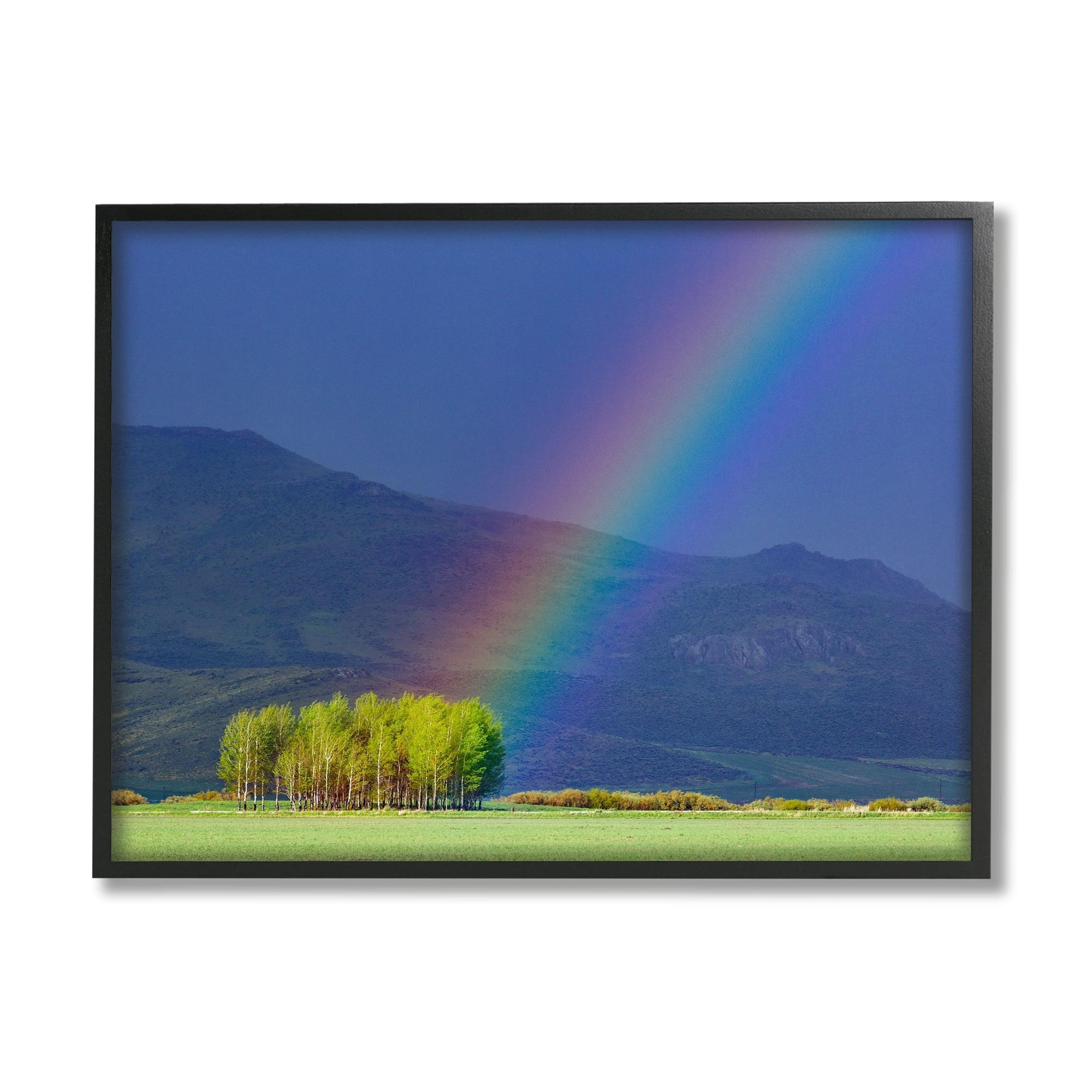 Stupell Industries Uplifting Rainbow Rays Tree Grove Mountain Landscape Photograph Black Framed Art Print Wall Art, Design by Steve Smith