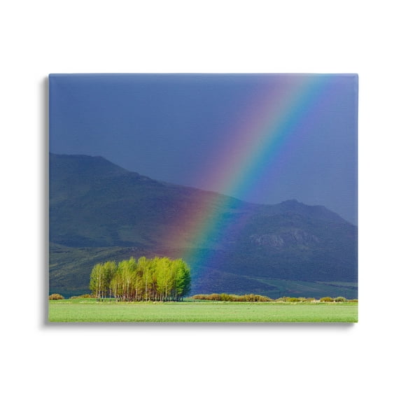 Stupell Industries Uplifting Rainbow Rays Tree Grove Mountain Landscape Photograph Gallery Wrapped Canvas Print Wall Art, Design by Steve Smith