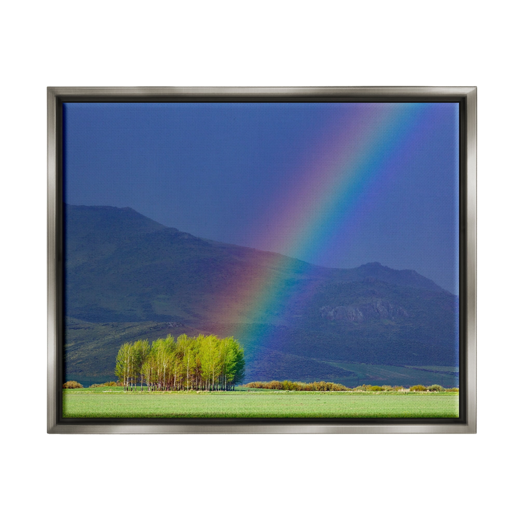 Stupell Industries Uplifting Rainbow Rays Tree Grove Mountain Landscape Photograph Luster Gray Floating Framed Canvas Print Wall Art, Design by Steve Smith