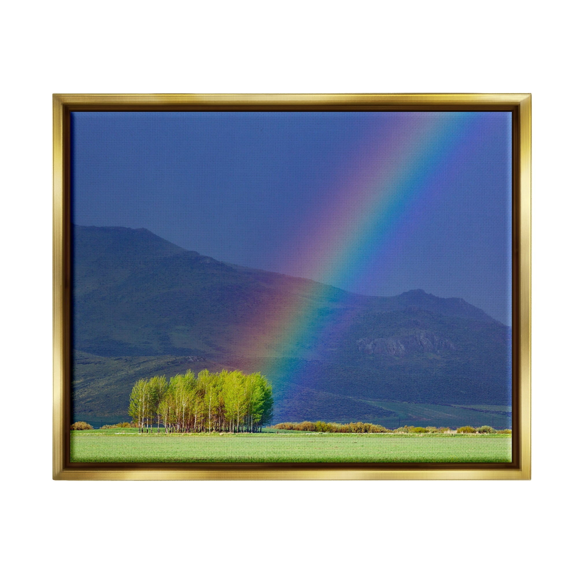 Stupell Industries Uplifting Rainbow Rays Tree Grove Mountain Landscape Photograph Metallic Gold Floating Framed Canvas Print Wall Art, Design by Steve Smith