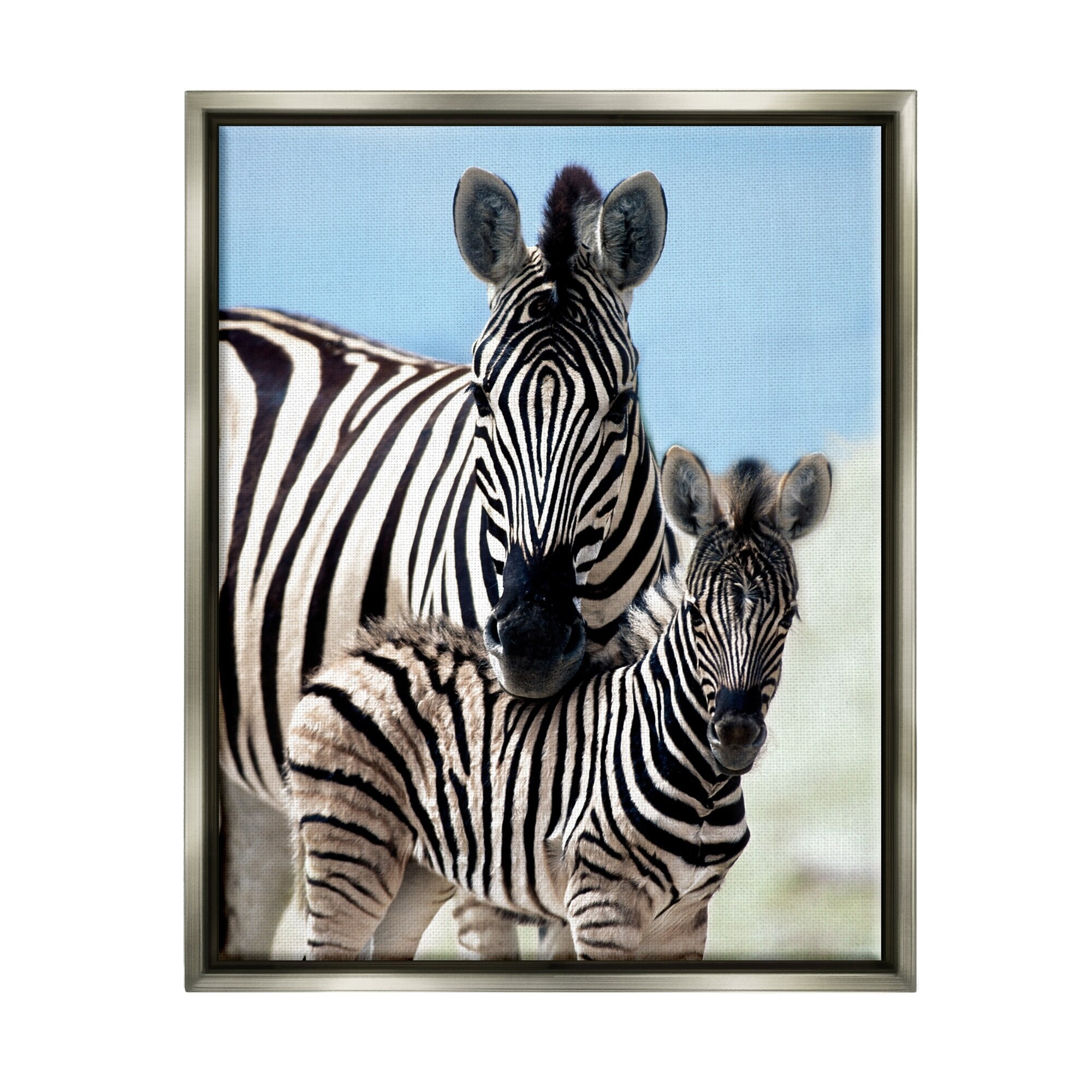 Stupell Industries Uplifting Zebra Family Mother Child Savanna Animals Photograph Luster Gray Floating Framed Canvas Print Wall Art, Design by Danita Delimont