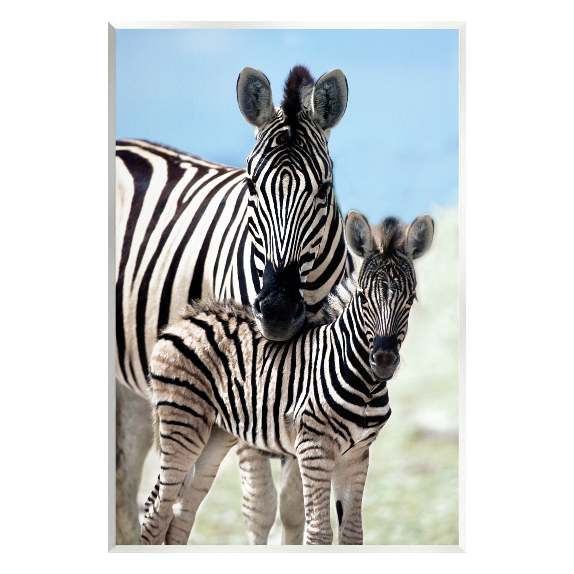 Stupell Industries Uplifting Zebra Family Mother Child Savanna Animals Photograph Unframed Art Print Wall Art, Design by Danita Delimont