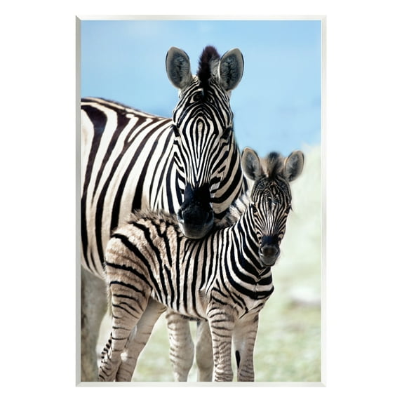 Stupell Industries Uplifting Zebra Family Mother Child Savanna Animals Photograph Unframed Art Print Wall Art, Design by Danita Delimont
