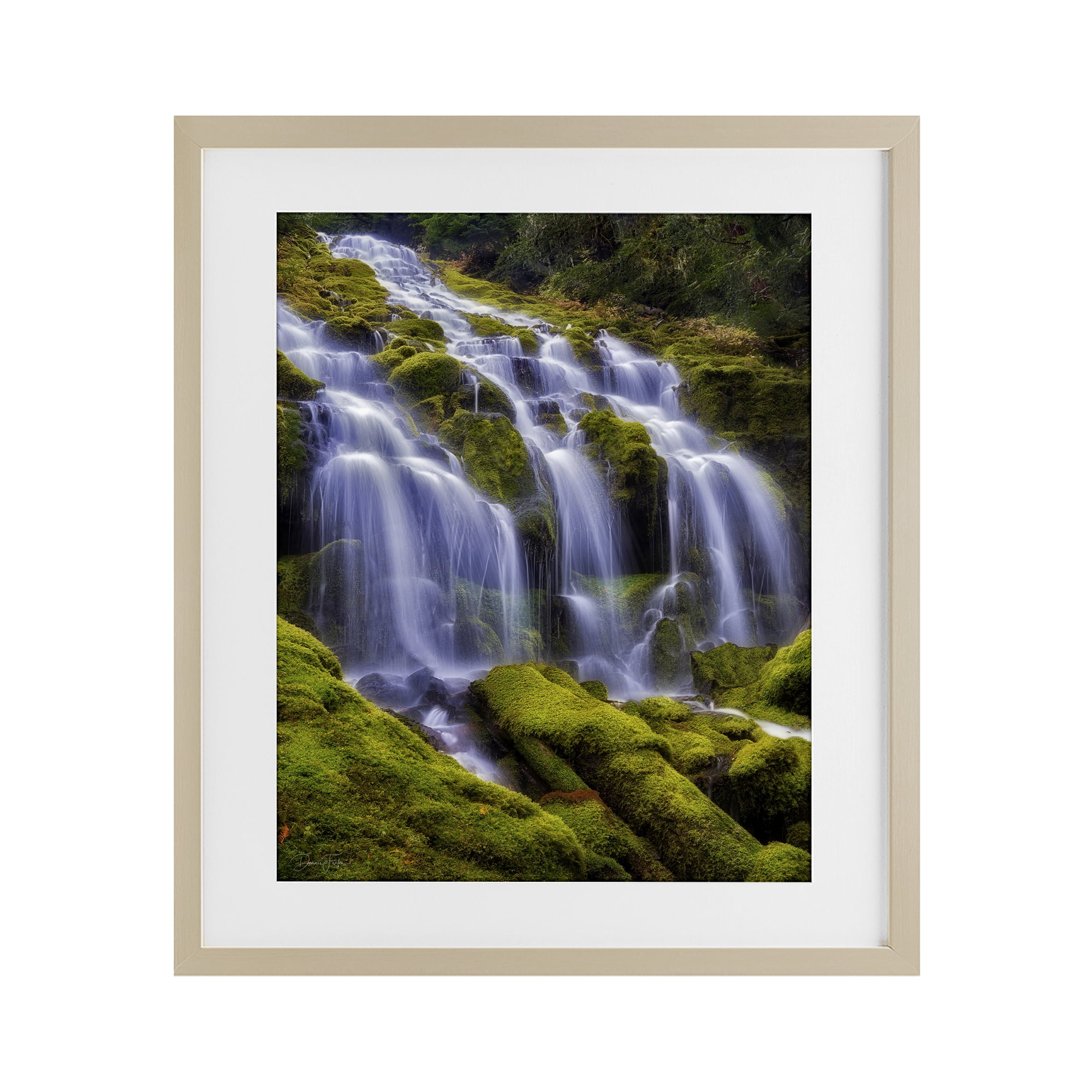Stupell Industries Upper Proxy Falls Birch Framed Print Under Glass, design by Dennis Frates