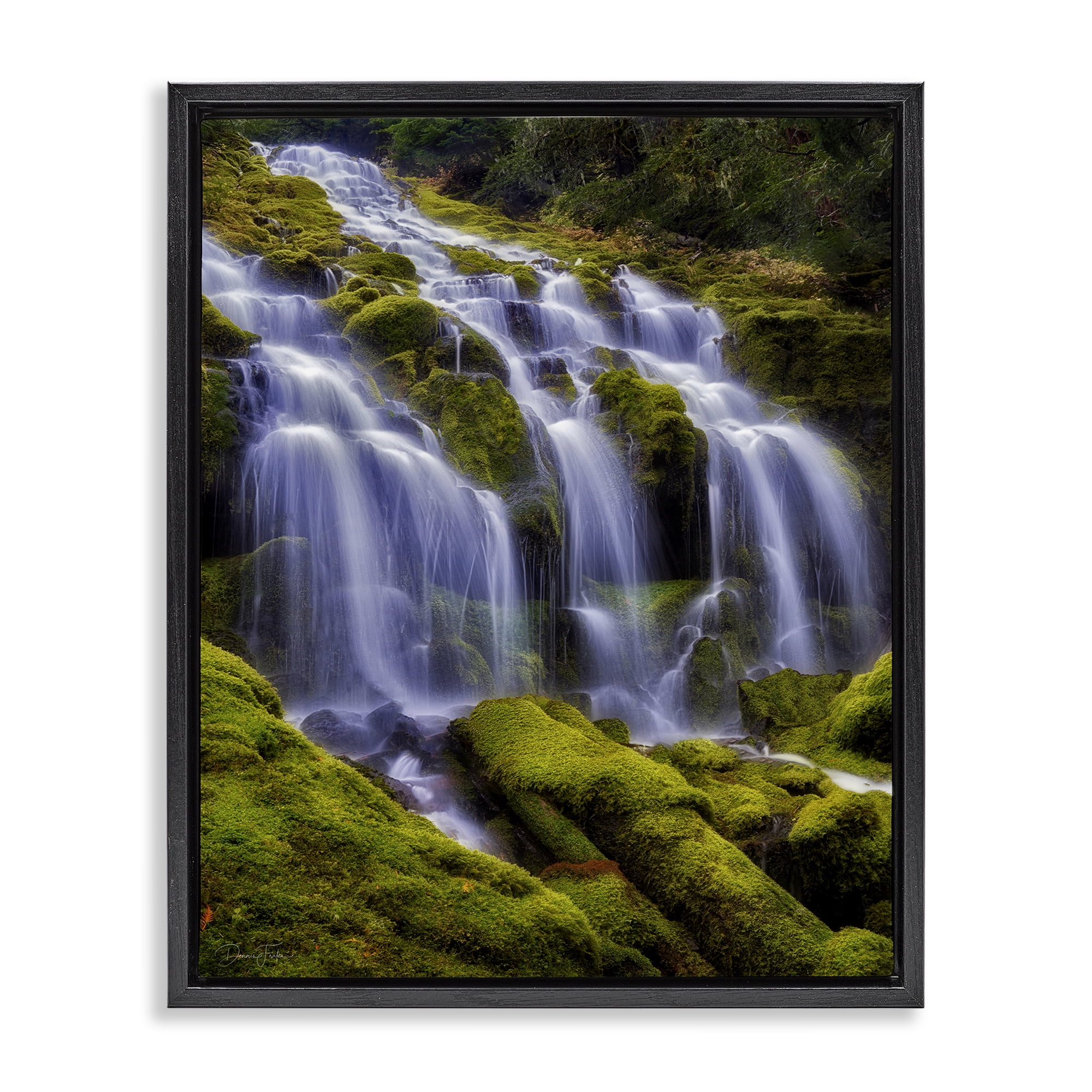 Stupell Industries Upper Proxy Falls Black Framed Floater Canvas Wall Art, design by Dennis Frates