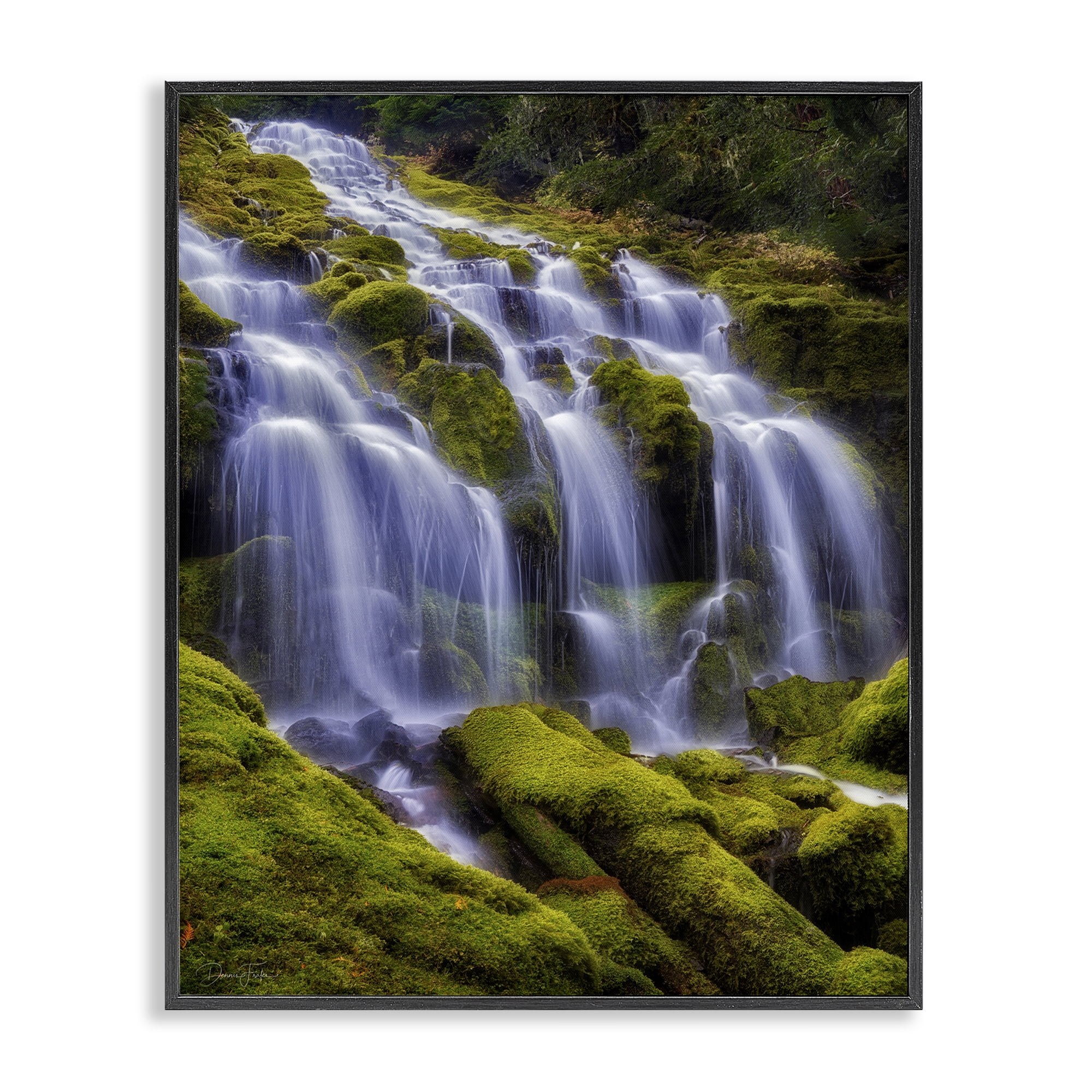 Stupell Industries Upper Proxy Falls Black Framed Giclee Art, design by Dennis Frates