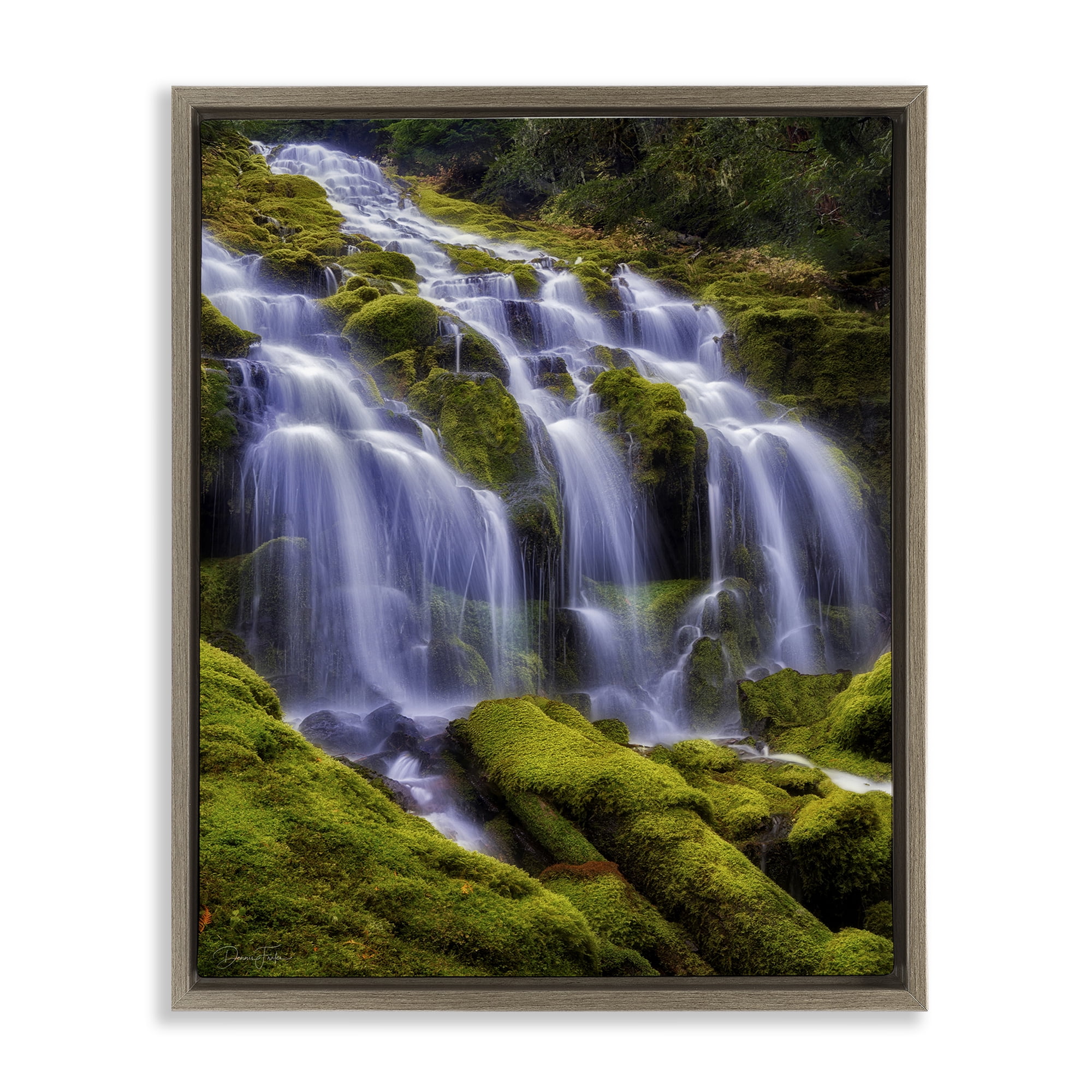 Stupell Industries Upper Proxy Falls Brown Framed Floater Canvas Wall Art, design by Dennis Frates
