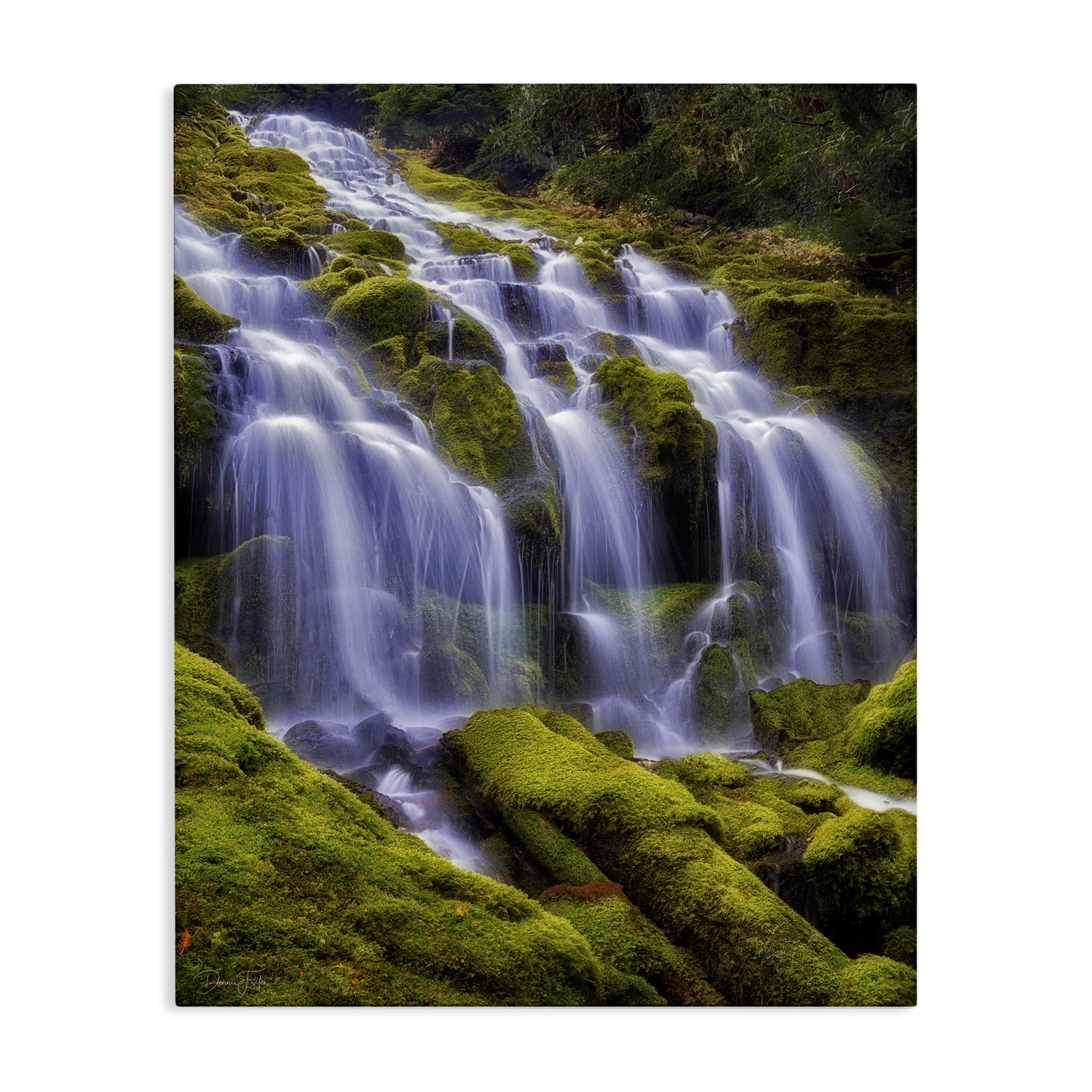 Stupell Industries Upper Proxy Falls Canvas Wall Art, design by Dennis Frates