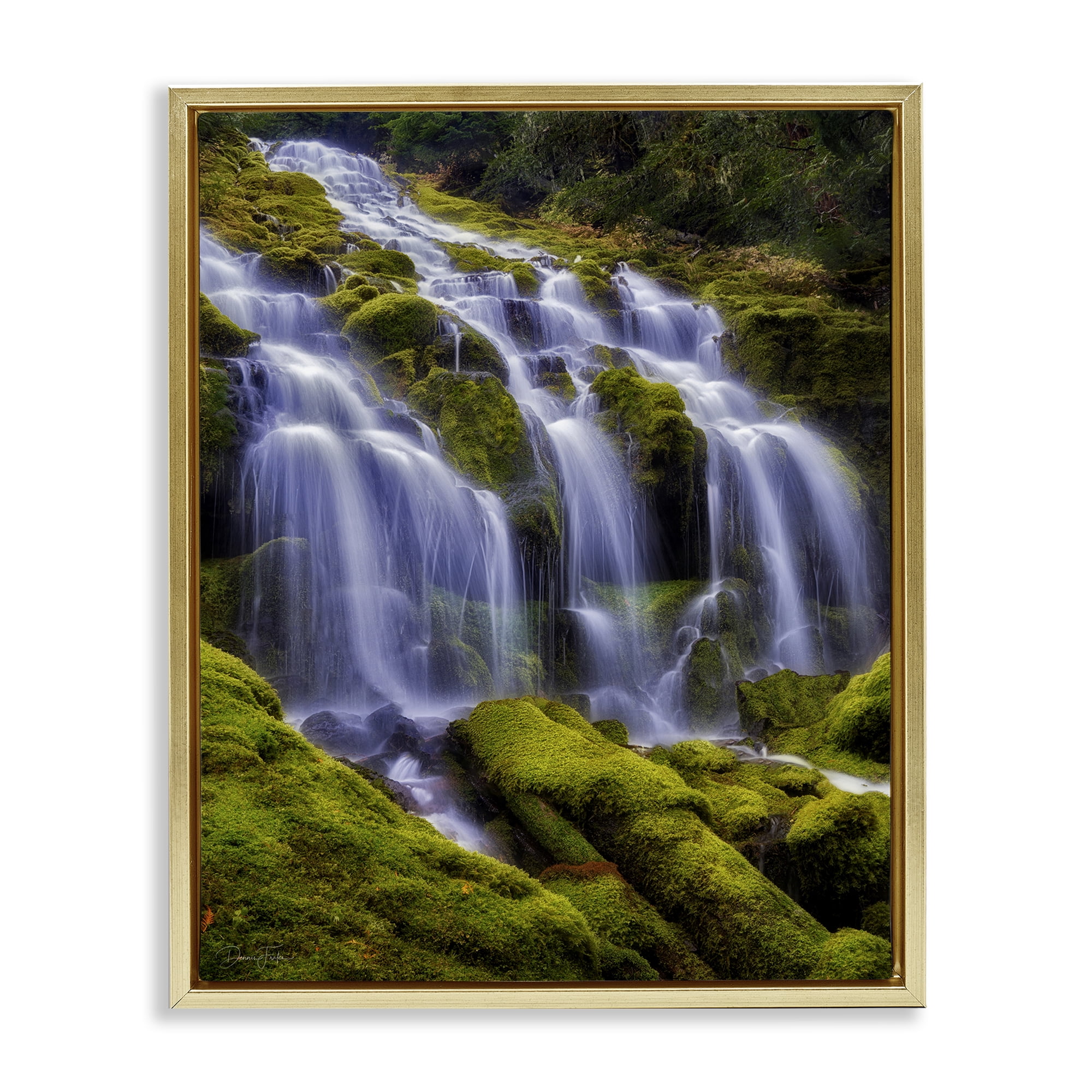 Stupell Industries Upper Proxy Falls Gold Framed Floater Canvas Wall Art, design by Dennis Frates