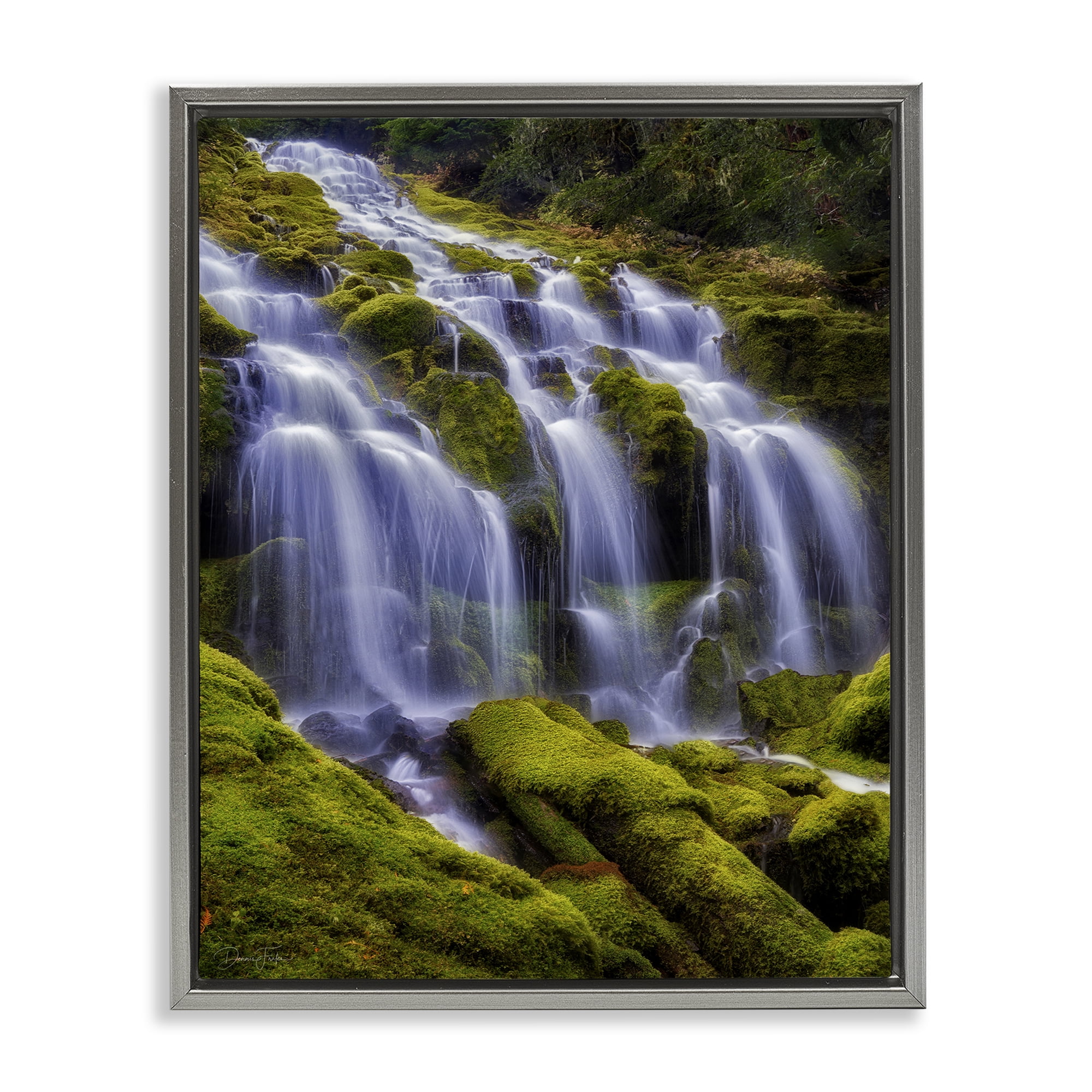 Stupell Industries Upper Proxy Falls Gray Framed Floater Canvas Wall Art, design by Dennis Frates