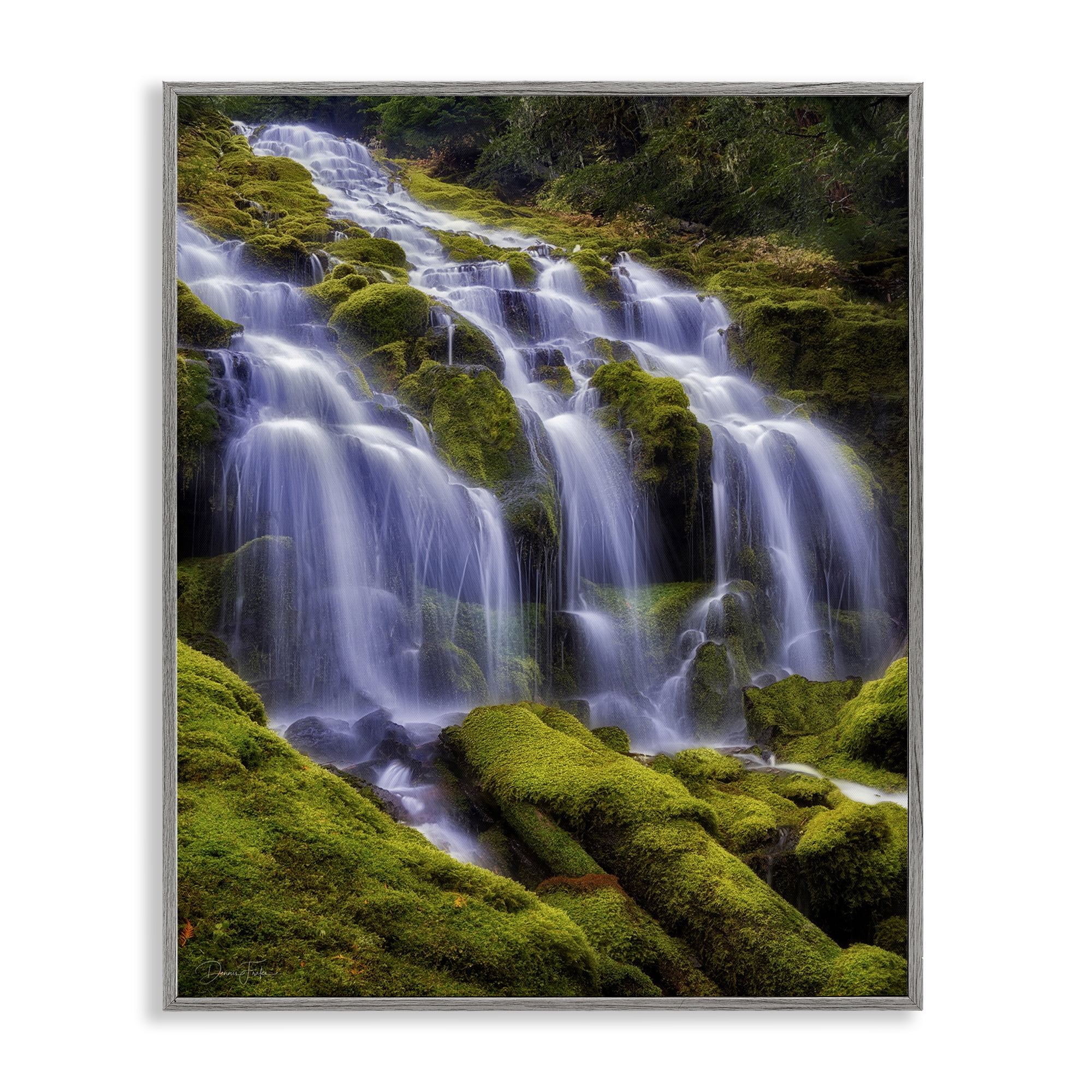 Stupell Industries Upper Proxy Falls Gray Framed Giclee Art, design by Dennis Frates