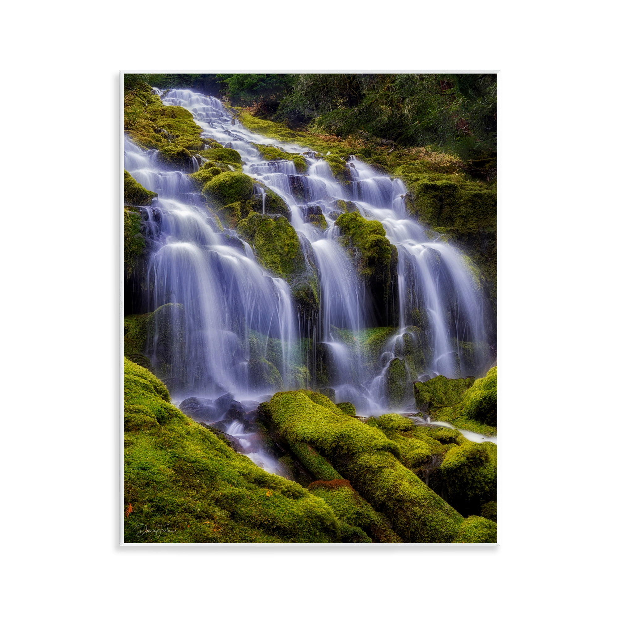 Stupell Industries Upper Proxy Falls Wall Plaque Art, design by Dennis Frates