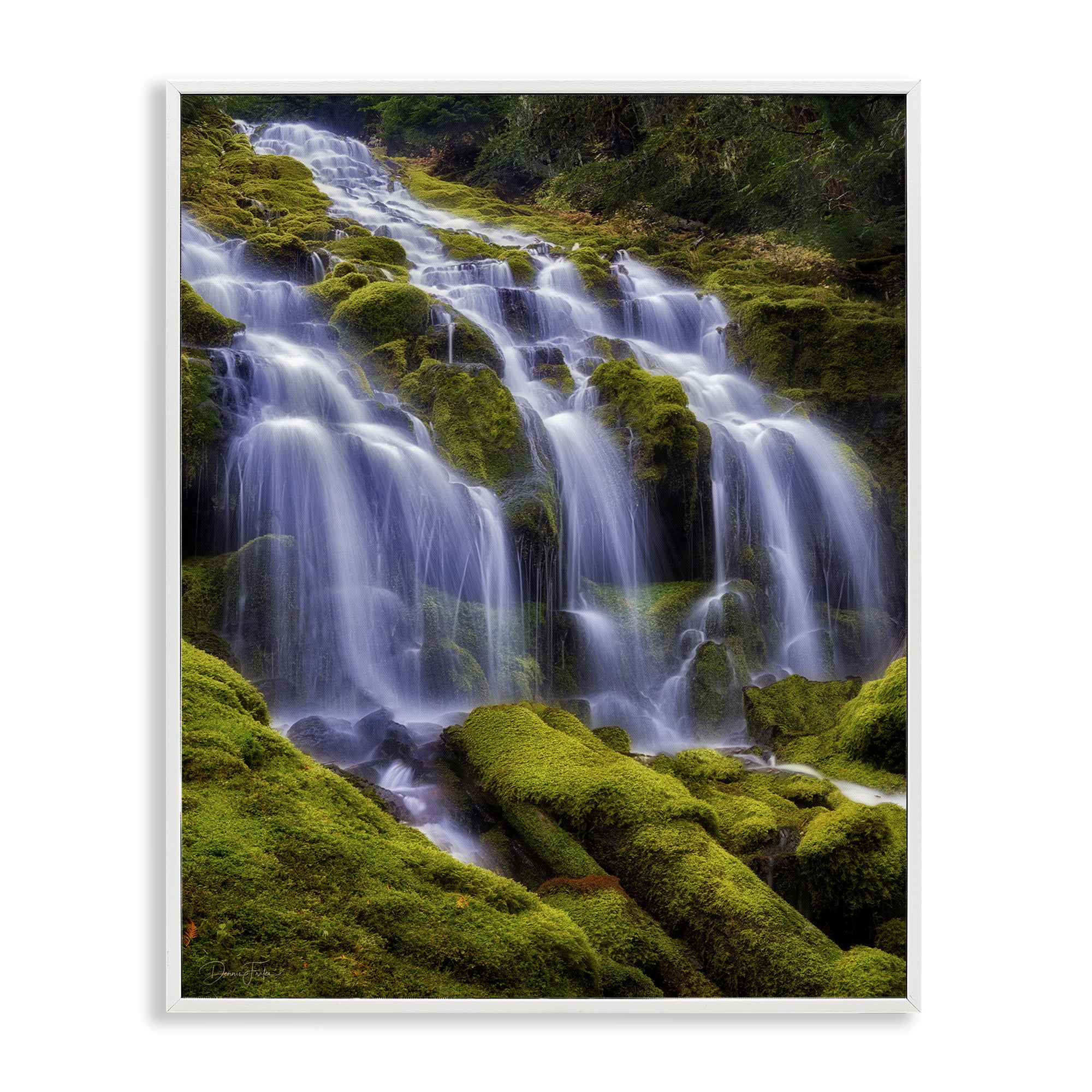 Stupell Industries Upper Proxy Falls White Framed Giclee Art, design by Dennis Frates