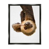 Stupell Industries Upside-down Sloth Portrait Animals & Insects Painting Black Floater Framed Art Print Wall Art, 17 x 21