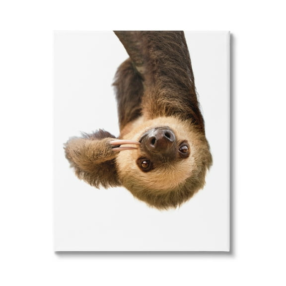 Stupell Industries Upside-down Sloth Portrait Animals & Insects Painting Gallery Wrapped Canvas Print Wall Art, 16 x 20