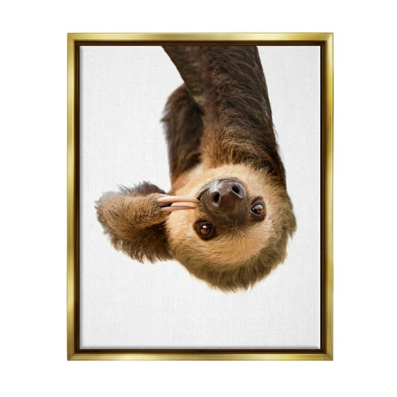 Stupell Industries Upside-down Sloth Portrait Animals & Insects Painting Gold Floater Framed Art Print Wall Art, 17 x 21