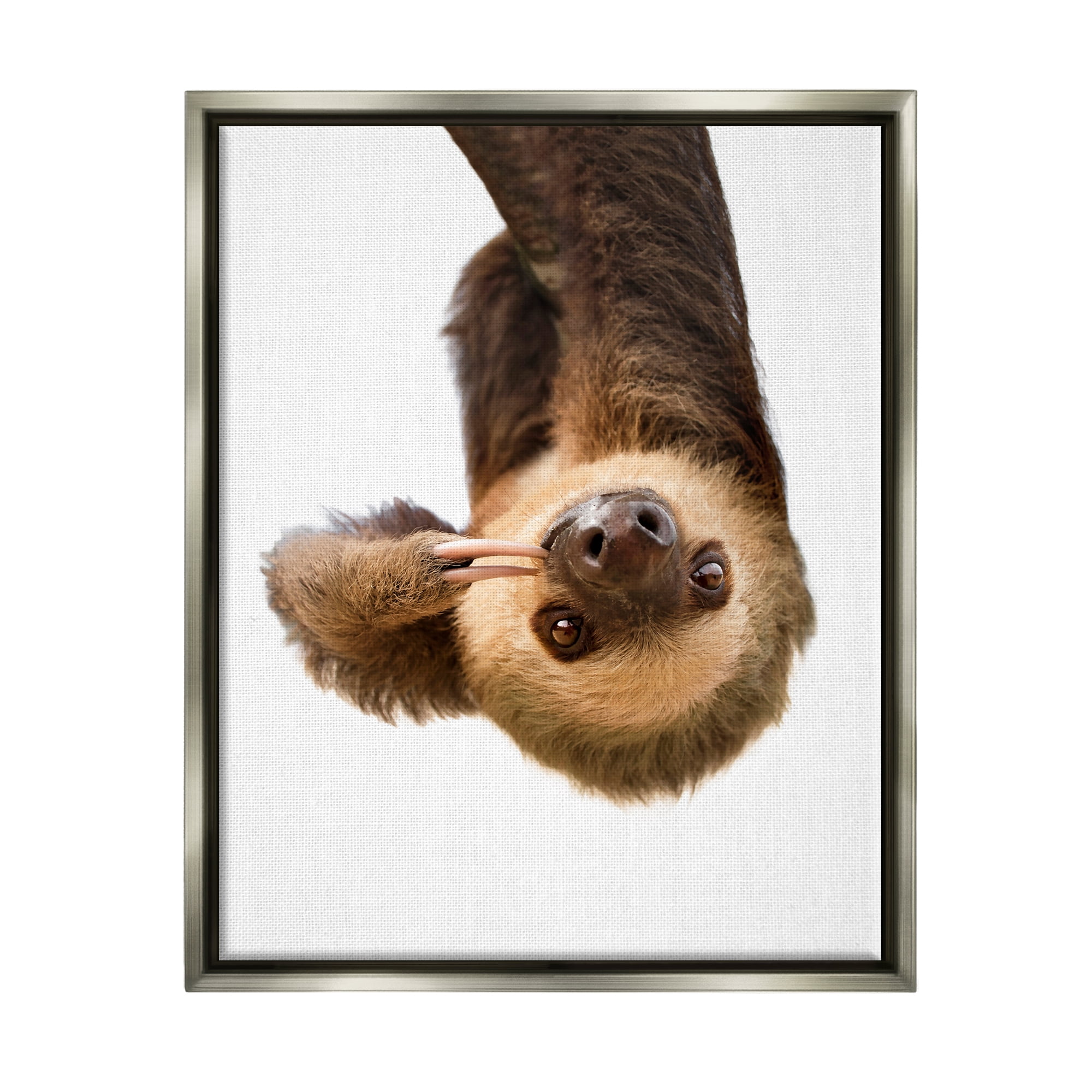 Stupell Industries Upside-down Sloth Portrait Animals & Insects Painting Gray Floater Framed Art Print Wall Art, 25 x 31