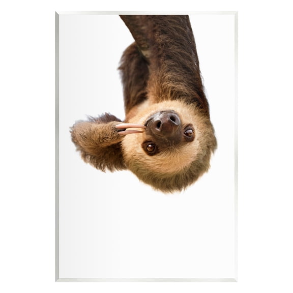Stupell Industries Upside-down Sloth Portrait Animals & Insects Painting Unframed Art Print Wall Art, 10 x 15