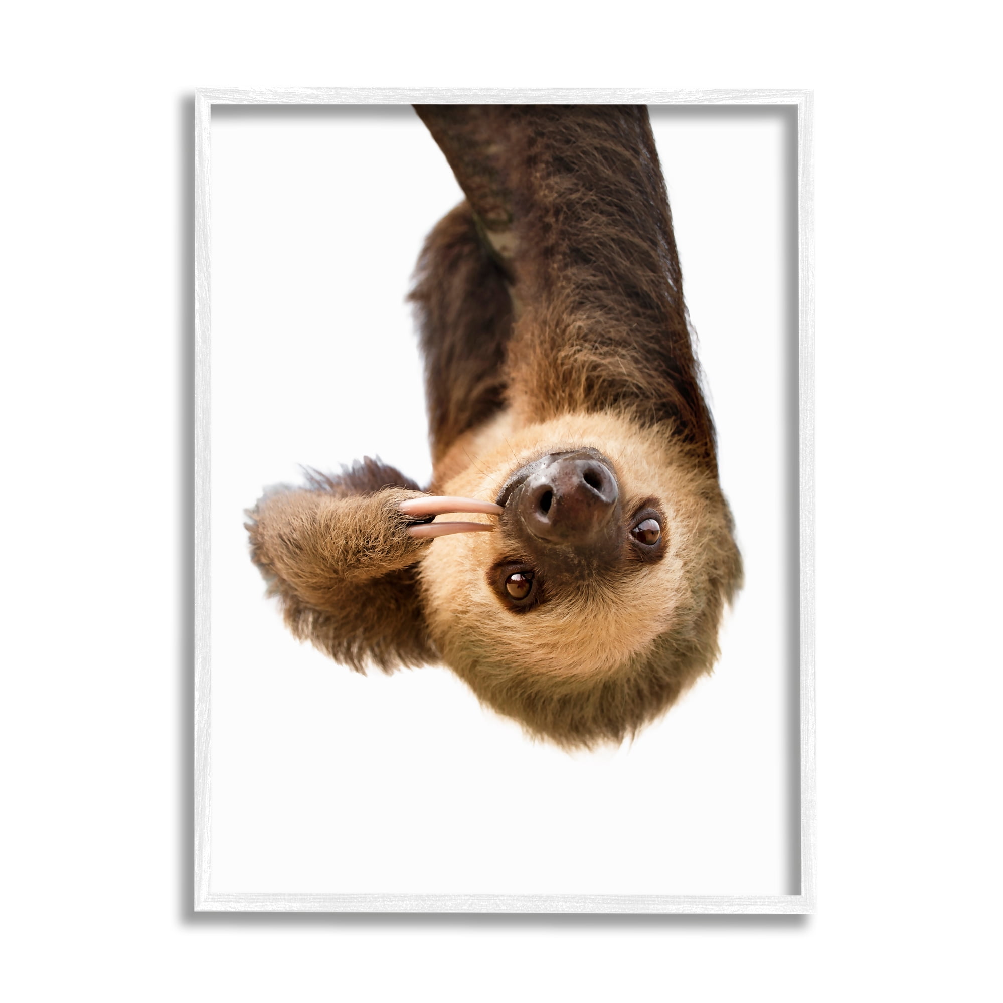 Stupell Industries Upside-down Sloth Portrait Animals & Insects Painting White Framed Art Print Wall Art, 11 x 14