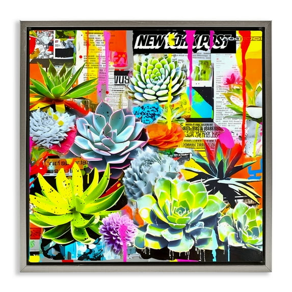 Stupell Industries Urban Graffiti Succulents Plants & Flowers Painting Gray Floater Framed Canvas Art Print Wall Art, 18 x 18