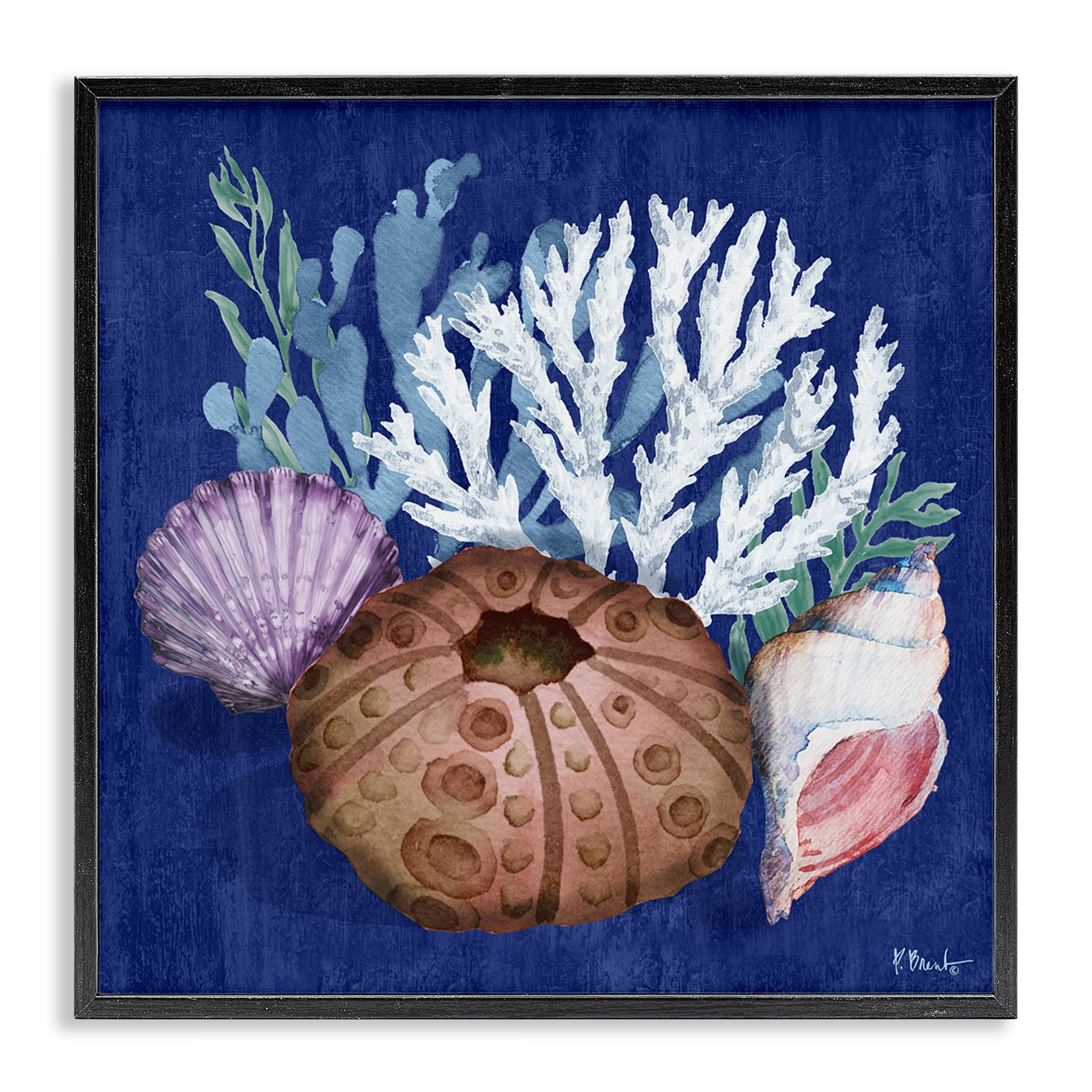 Stupell Industries Urchin & Coral Still Life Coastal Painting Black Framed Art Print Wall Art, 17 x 17