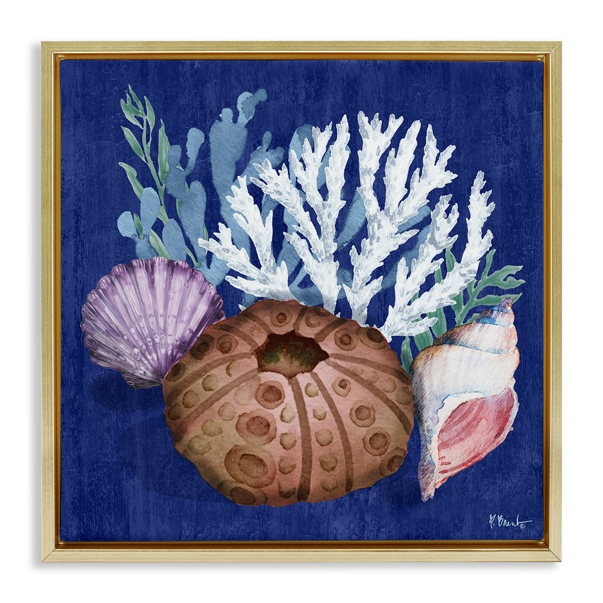 Stupell Industries Urchin & Coral Still Life Coastal Painting Gold Floater Framed Canvas Art Print Wall Art, 18 x 18