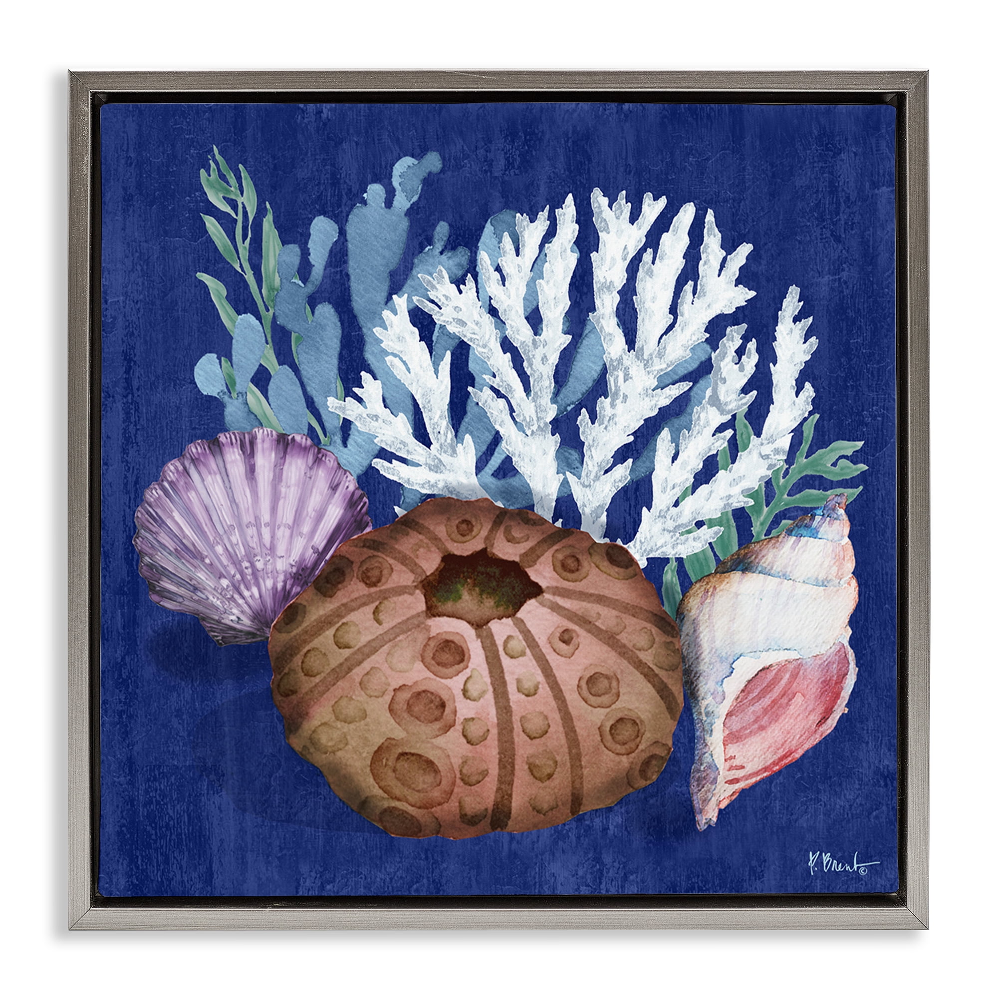 Stupell Industries Urchin & Coral Still Life Coastal Painting Gray