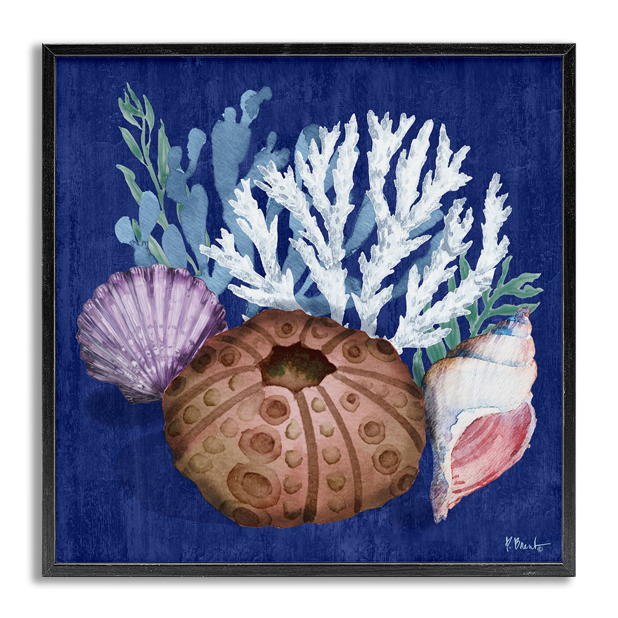Stupell Industries Urchin & Coral Still Life Coastal Painting Gray Framed Art Print Wall Art, 24 x 24