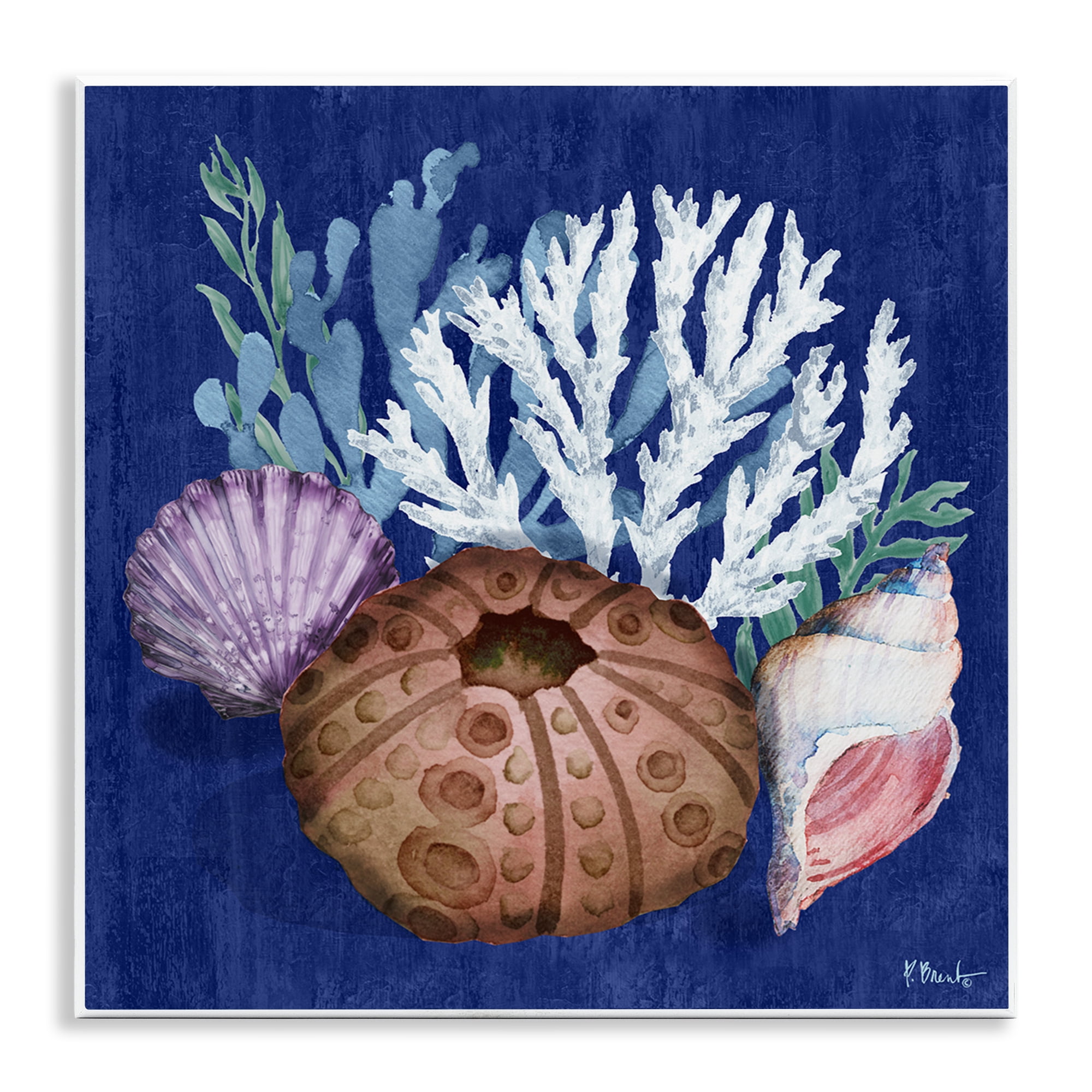 Stupell Industries Urchin & Coral Still Life Coastal Painting Unframed Art Print Wall Art, 12 x 12