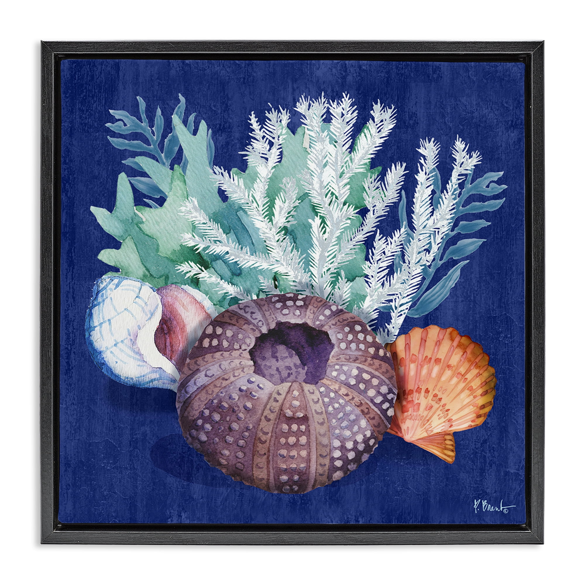 Stupell Industries Urchin Sea Life Coastal Painting Black Floater Framed Canvas Art Print Wall Art, 18 x 18
