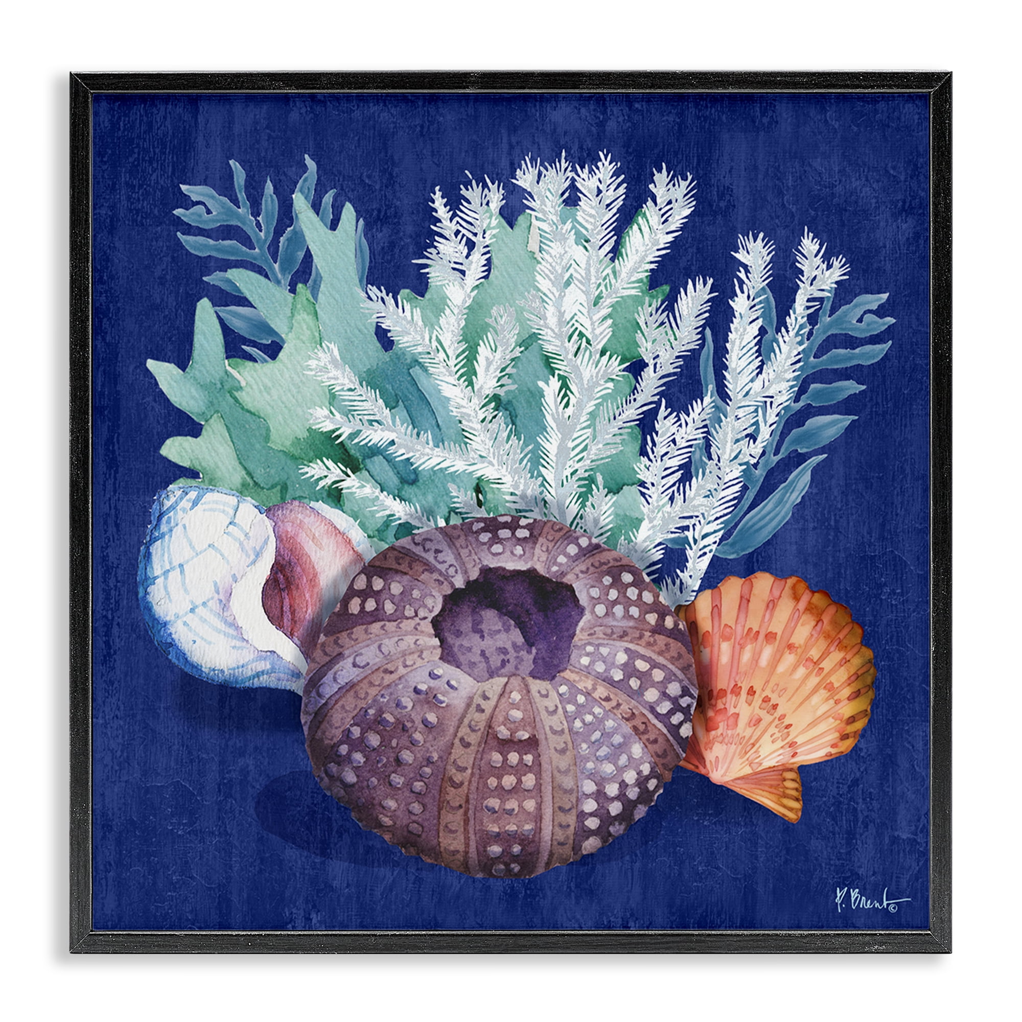 Stupell Industries Urchin Sea Life Coastal Painting Black Framed Art Print Wall Art, 24 x 24