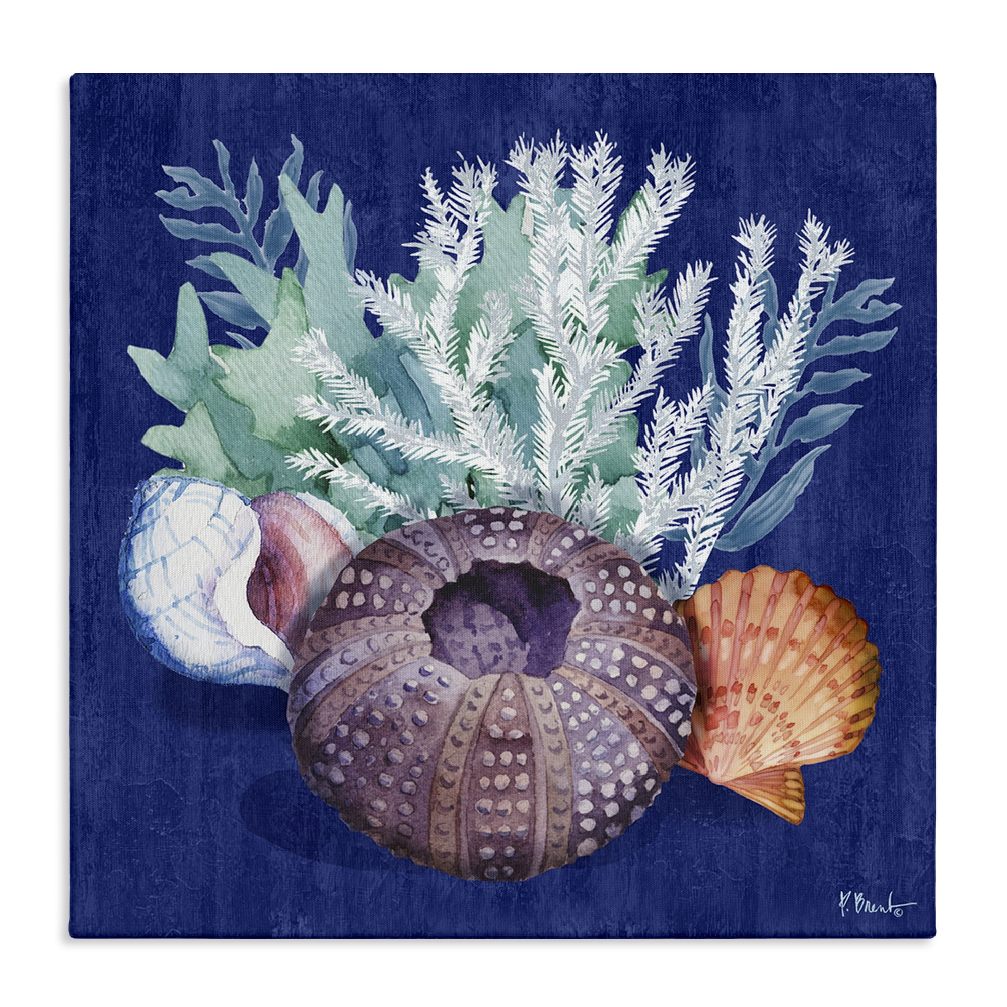 Stupell Industries Urchin Sea Life Coastal Painting Gallery Wrapped Canvas Art Print Wall Art, 36 x 36