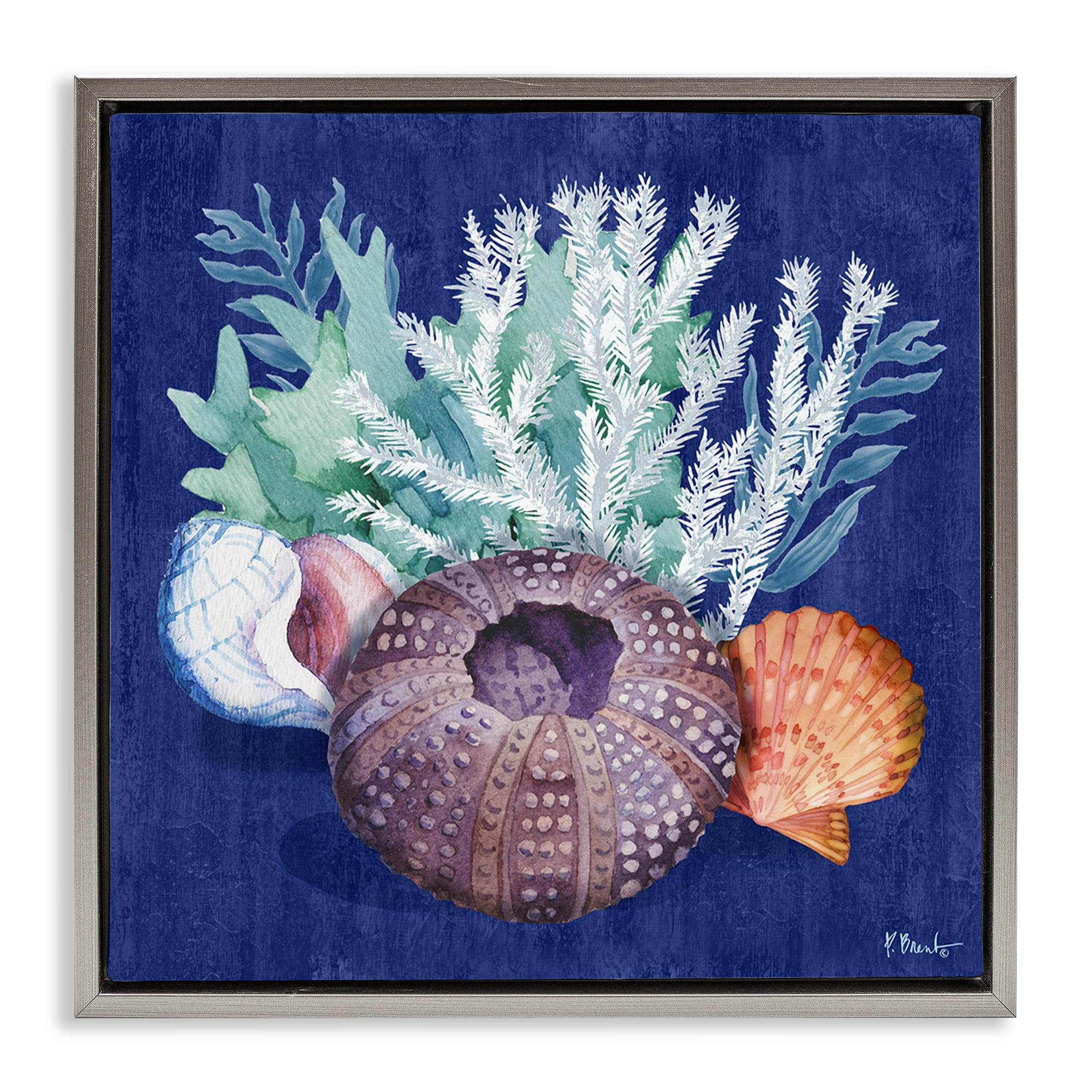 Stupell Industries Urchin Sea Life Coastal Painting Gray Floater Framed Canvas Art Print Wall Art, 18 x 18