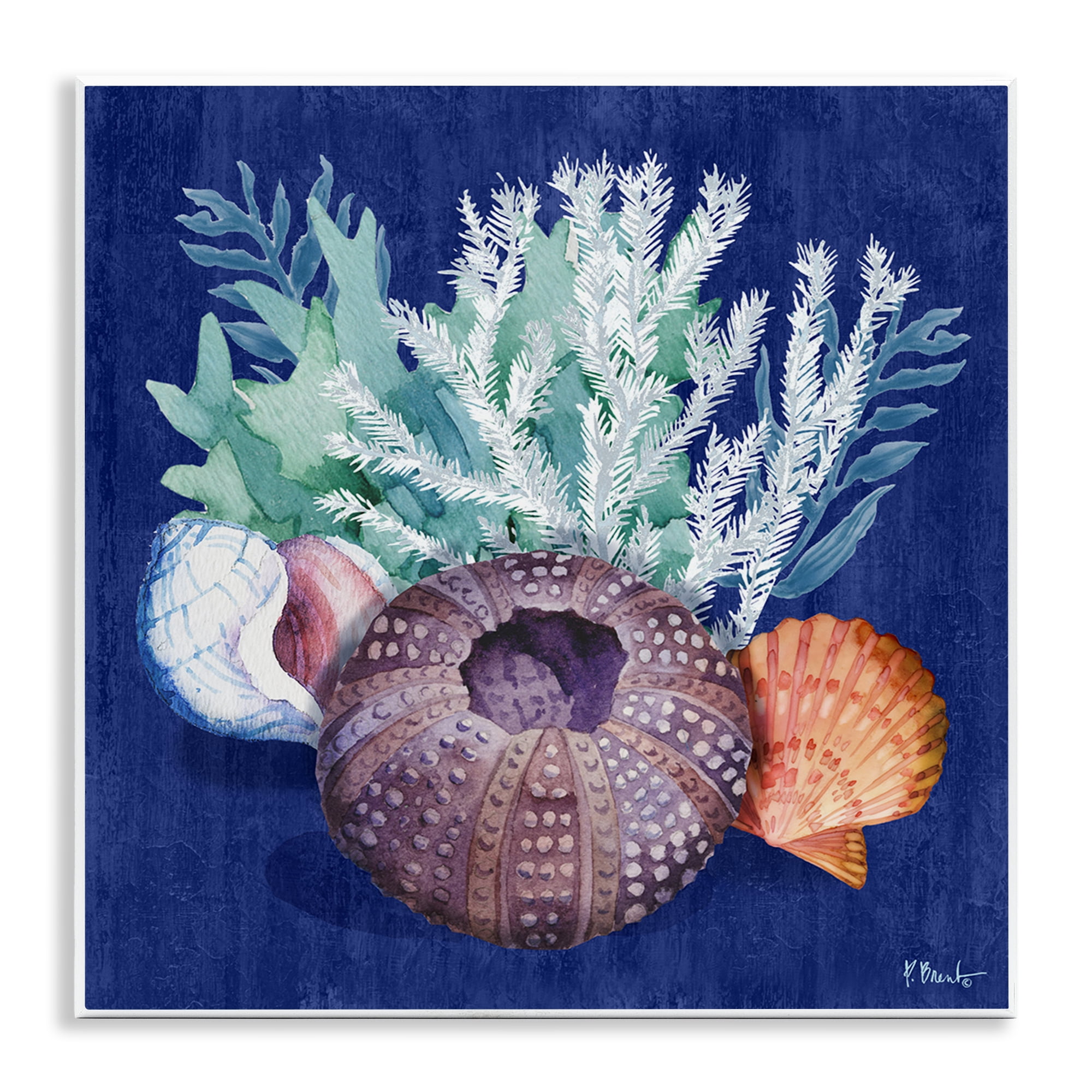 Stupell Industries Urchin Sea Life Coastal Painting Unframed Art Print Wall Art, 12 x 12