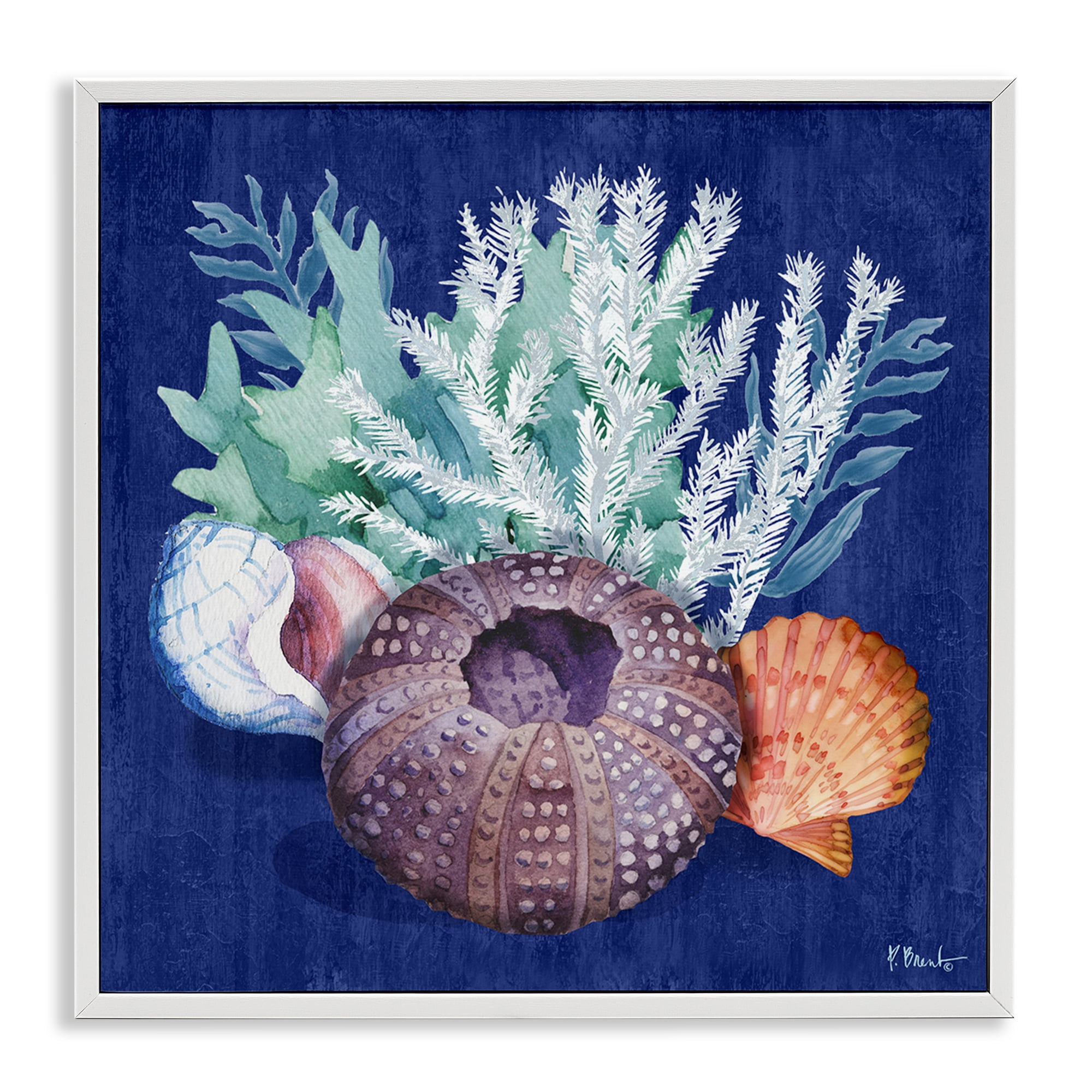 Stupell Industries Urchin Sea Life Coastal Painting White Framed Art Print Wall Art, 17 x 17