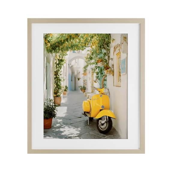 Stupell Industries Eclectic Vacation Ride Through Alley Birch Framed Print Under Glass, 17 x 21, by Franklyn Gregory