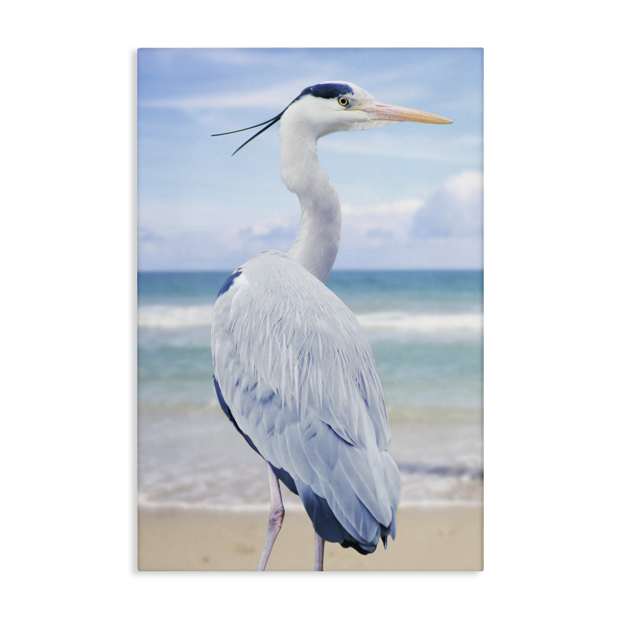 Stupell Industries Vacationing Heron by Seaside Canvas Wall Art, design by Marcus Prime