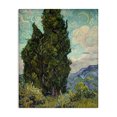 thumbnail image 1 of Stupell Industries Van Gogh Cypress Landscape Landscape & Nature Painting Wrapped Canvas Art Print Wall Art, 36 x 48, 1 of 8