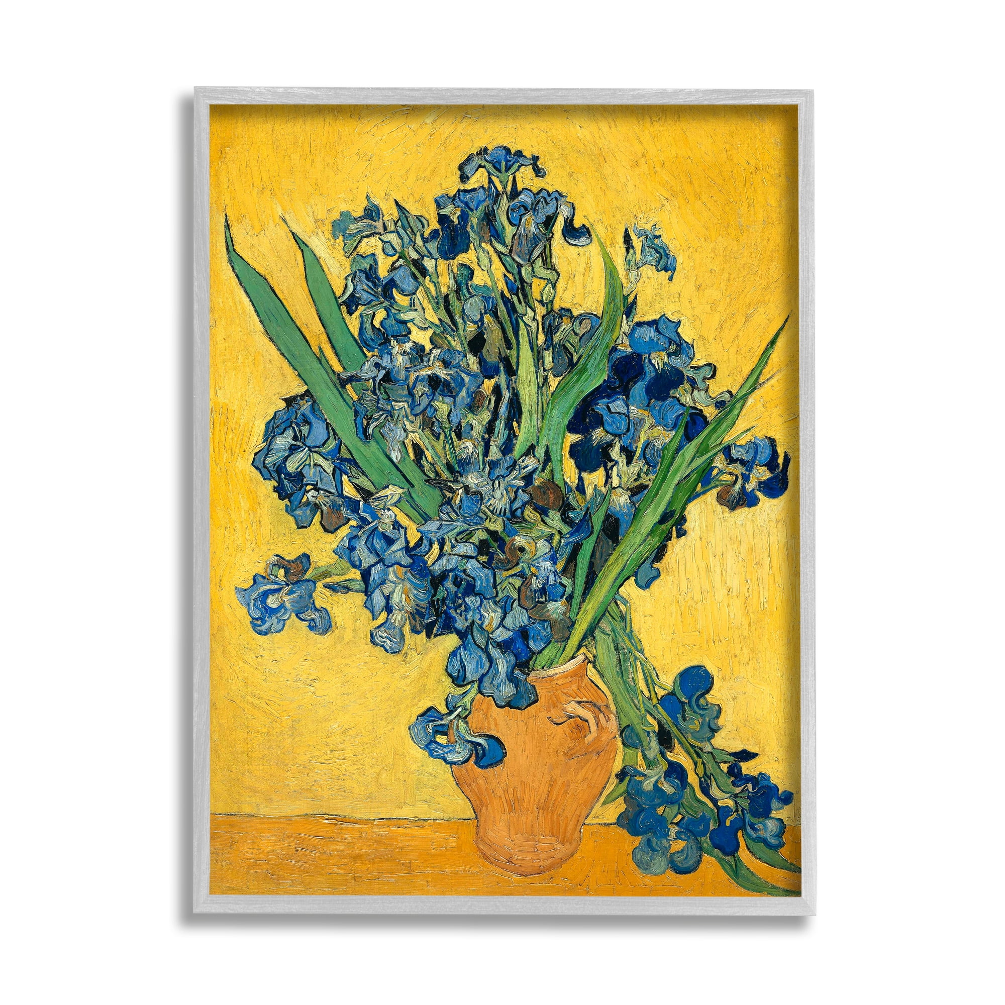 Stupell Industries Van Gogh Irises Post Impressionist Painting, 24 x 30,Design by Vincent Van Gogh