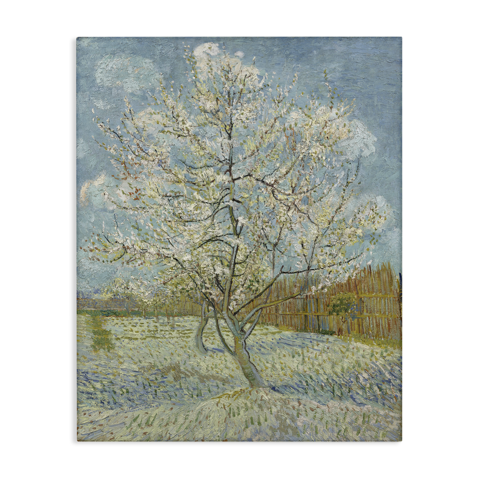 Stupell Industries Van Gogh Pink Peach Tree Landscape & Nature Painting Wrapped Canvas Art Print Wall Art, 16 x 20